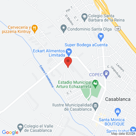 Centro Medico Kinesico Limitada map