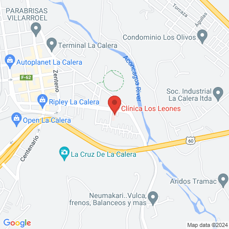 Clínica Los Leones map