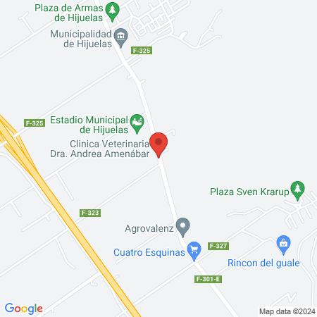 Clinica Veterinaria Dra. Andrea Amenábar map