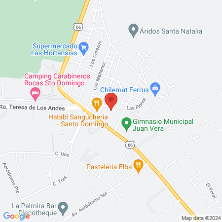 Clinica Veterinaria Santo Domingo map