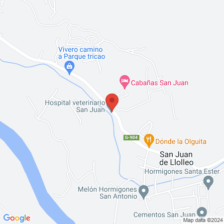Hospital veterinario San Juan map