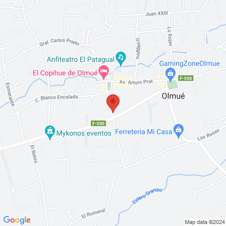 Hospital Clínico Veterinario EmilyPet map