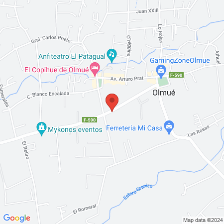Hospital Clínico Veterinario VETLEÓN map