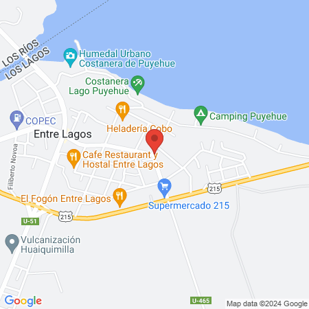 Veterinaria puyehue map