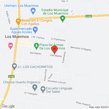 Clinica Veterinaria Los ulmos map