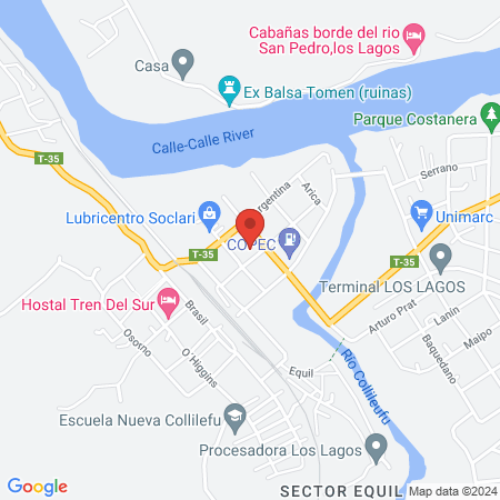 mTOR Gym Los Lagos map