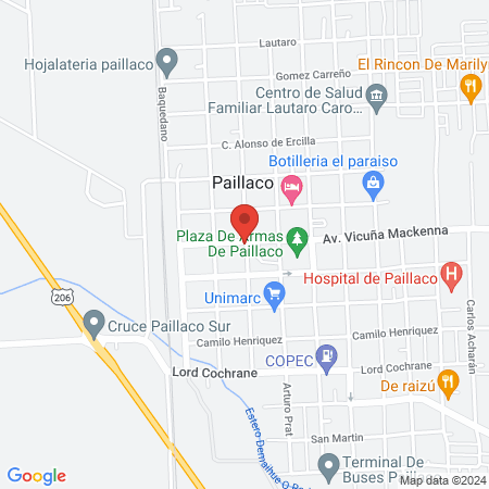 Consulta Veterinaria Municipal map