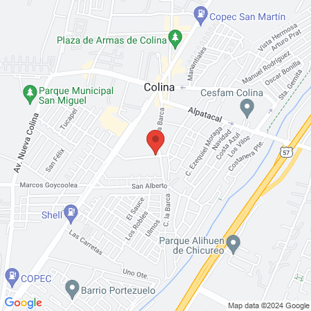 Veterinaria Garritas Y Patitas map