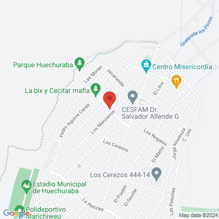 Soc Veterinaria Manquehue Limitada map