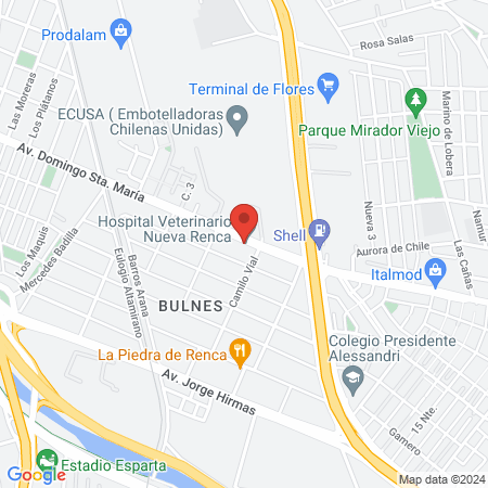 Hospital Veterinario Nueva Renca map