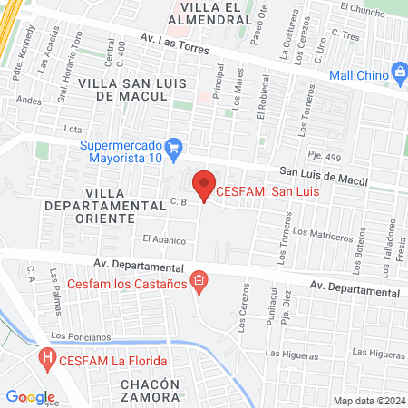 CESFAM: San Luis map