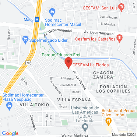 CESFAM La Florida map