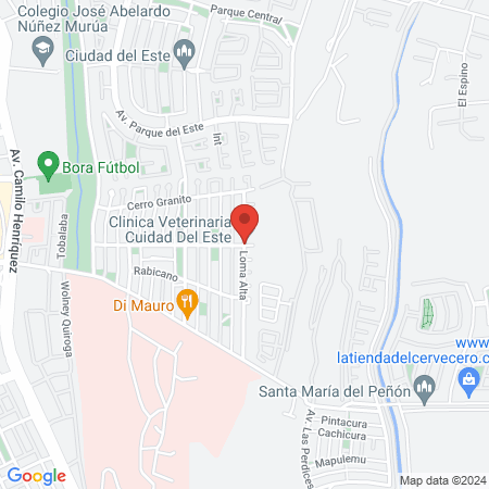 Clinica Veterinaria Cuidad Del Este map