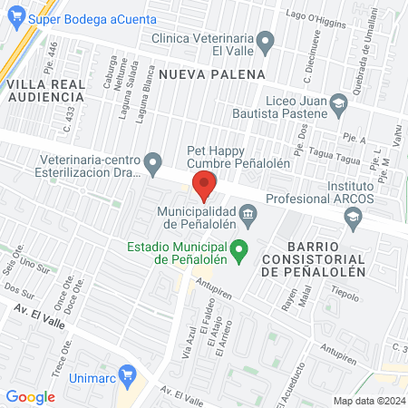 Clínica Dental RedSalud Peñalolén map