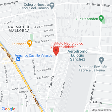 Instituto Neurologico y Especialidades Veterinarias map