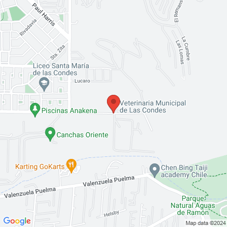 Veterinaria Municipal de Las Condes map