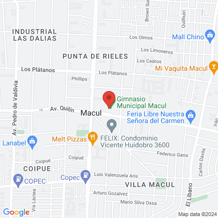 Gimnasio Municipal Macul map