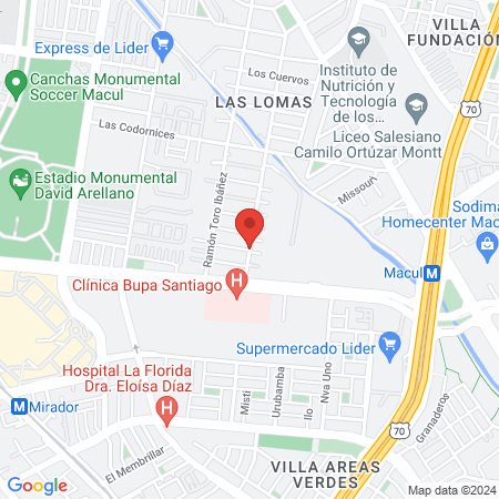 Dinamicanimal | Domicilios Rehabilitación Fisioterapia Perros y Gatos Chile map