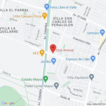 Club Animal map