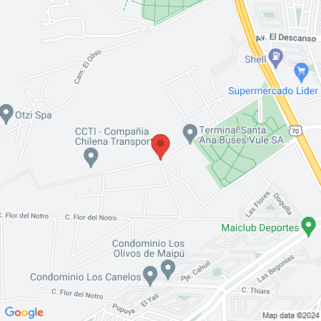 la palma chilena map