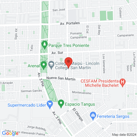 INMEVET URGENCIAS VETERINARIAS 24 HRS MAIPU ESPECIALIDADES VETERINARIAS map