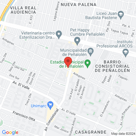 Gimnasio Pacific Upgrade Consistorial map