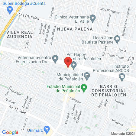 Centro Medico y Dental La Familia Peñalolen map