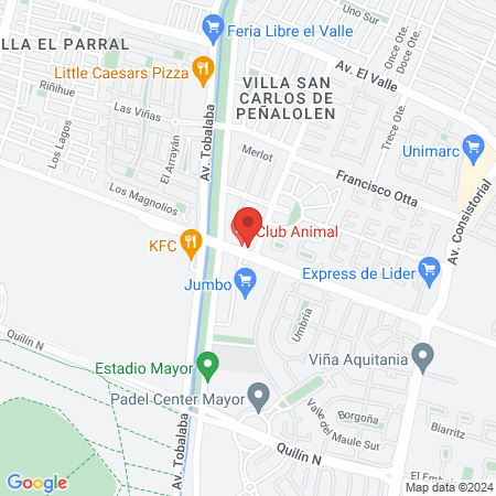 Clínica Dental Santa Apolonia Peñalolén map