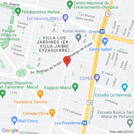 VETERINARIA RAMON CRUZ Macul map