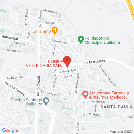 CLINICA VETERINARIA SAN SEBASTIAN map