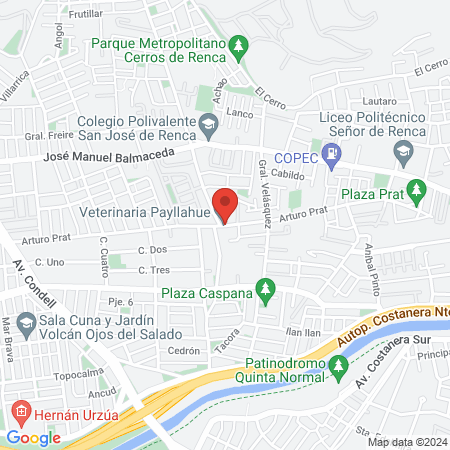Veterinaria Payllahue map