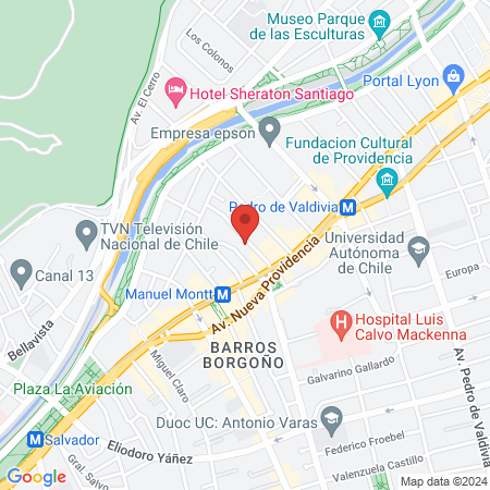 Clínica Veterinaria Providencia map
