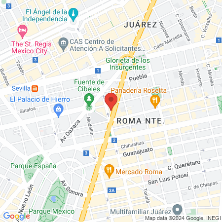 Jaguar Dynamics by Sabage map