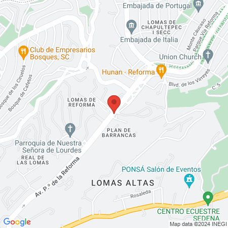 Immunotec Irapuato map