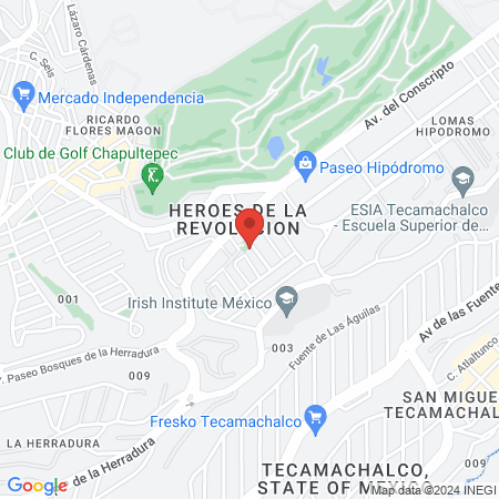 Mobile Pet Vet Cdmx map