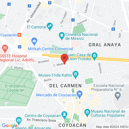 Paulina Lebrija Reyes, Psiquiatra map