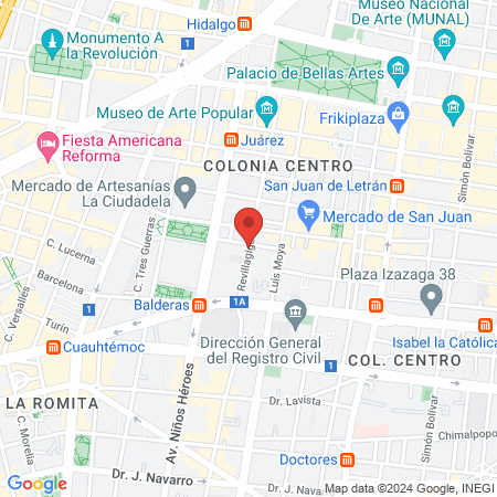 Clinica Veterinaria Team dog Zoomundo Centro. map