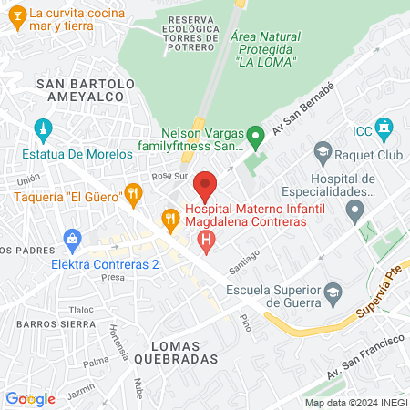 Leones legendarios artes marciales map