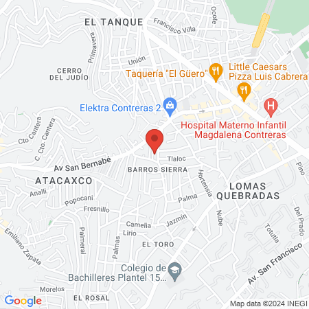 Dra. Dianey Flores Flores map