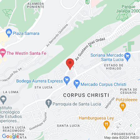 Lic. Ramón Velasco Martinez, Fisioterapia a domicilio map