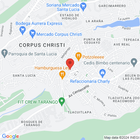 Hospital Veterinario Pedregal map
