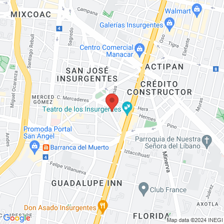 Clínica Veterinaria Insurgentes map