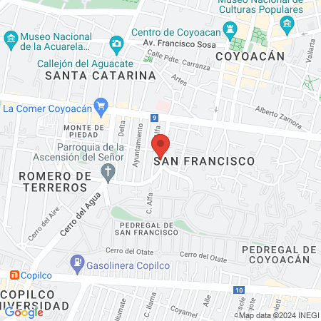 Momentum Espacio de Creación y Movimiento map