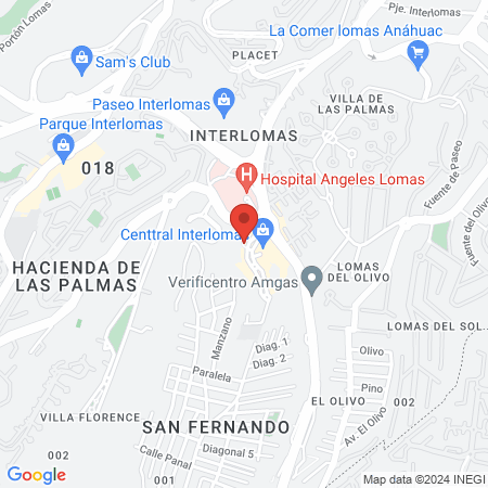ROMM Fisioterapia Interlomas map