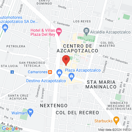 Estética unisex la original de paris map