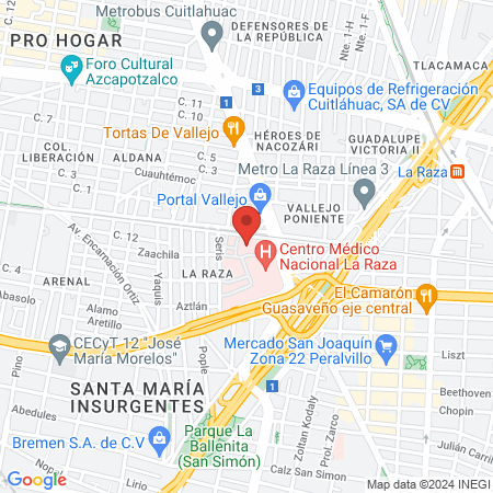 UMAE Hospital de Gineco Obstetricia Nº3 “Dr. Víctor Manuel Espinosa de los Reyes Sánchez” CMNR map