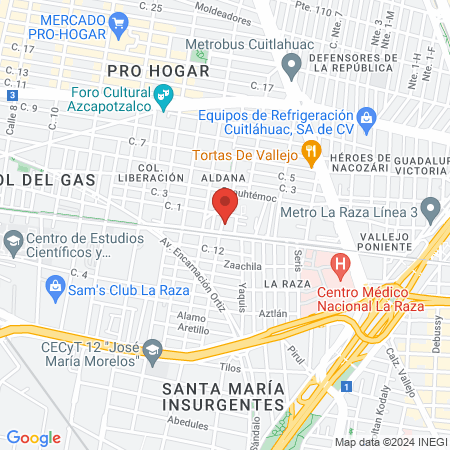 Servicios veterinarios Metzli-kin map
