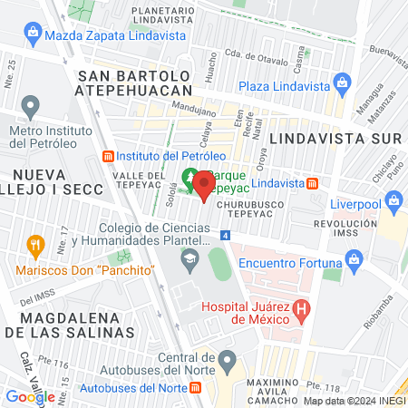 MTS Fisioterapia - Lindavista map
