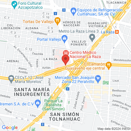 UMAE Hospital General "Dr Gaudencio González Garza" map