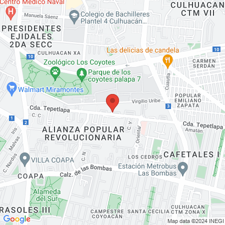 Tiger Team by Charly map